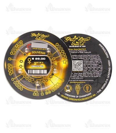 Himalaya Gold (GHS) семена конопли — изображение 3