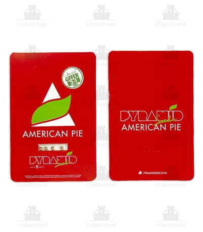 American Pie — изображение 4