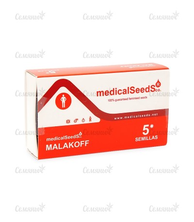 Malakoff fem (Medical Seeds) — изображение 4