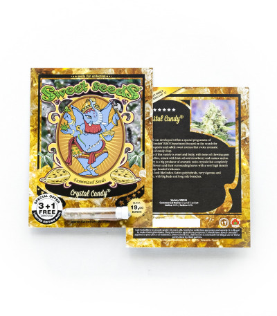 Семена сорта Crystal Candy fem (Sweet Seeds) — изображение 2