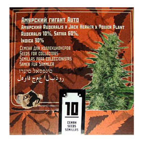 Amur Giant Auto fem (Kalashnikov Seeds) семена конопли — изображение 2