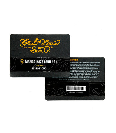 Mango Haze (Arjan's Ultra Haze #2) fem (GHS) семена конопли — изображение 2