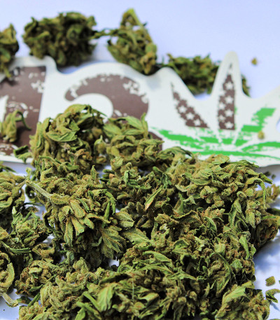 Original Auto White Widow fem (FastBuds) семена конопли — изображение 6