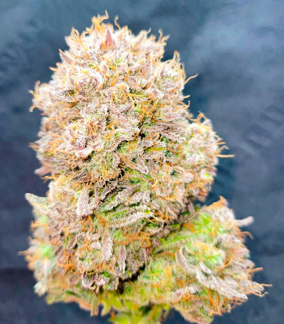 Ztrawberriez Auto fem (FastBuds) семена конопли — изображение 6