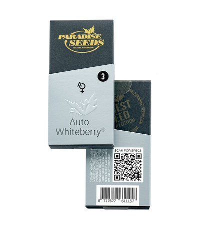 Auto Whiteberry fem (Paradise Seeds) семена конопли — изображение 2