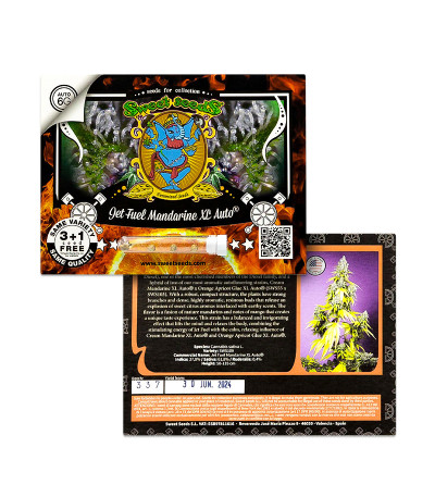 Jet Fuel Mandarine XL Auto fem (Sweet Seeds) семена конопли — изображение 2