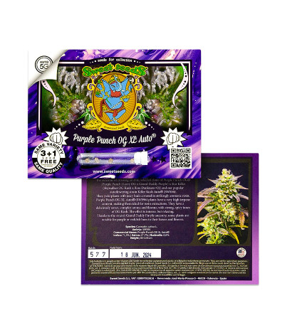 Purple Punch OG XL Auto fem (Sweet Seeds) семена конопли — изображение 2