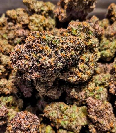 Strawberry Gorilla Auto RF3 fem (FastBuds) семена конопли — изображение 7