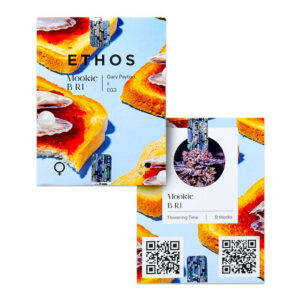 Mookie B R1 fem (Ethos Genetics) семена конопли